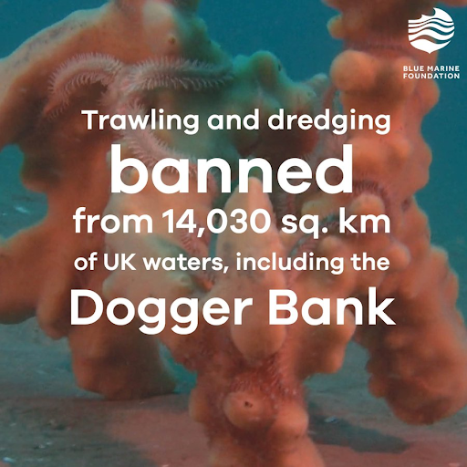 Trawling banned from 14,030 square km